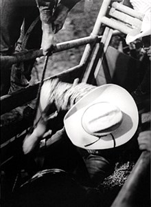 Image description is not available for 2010.061